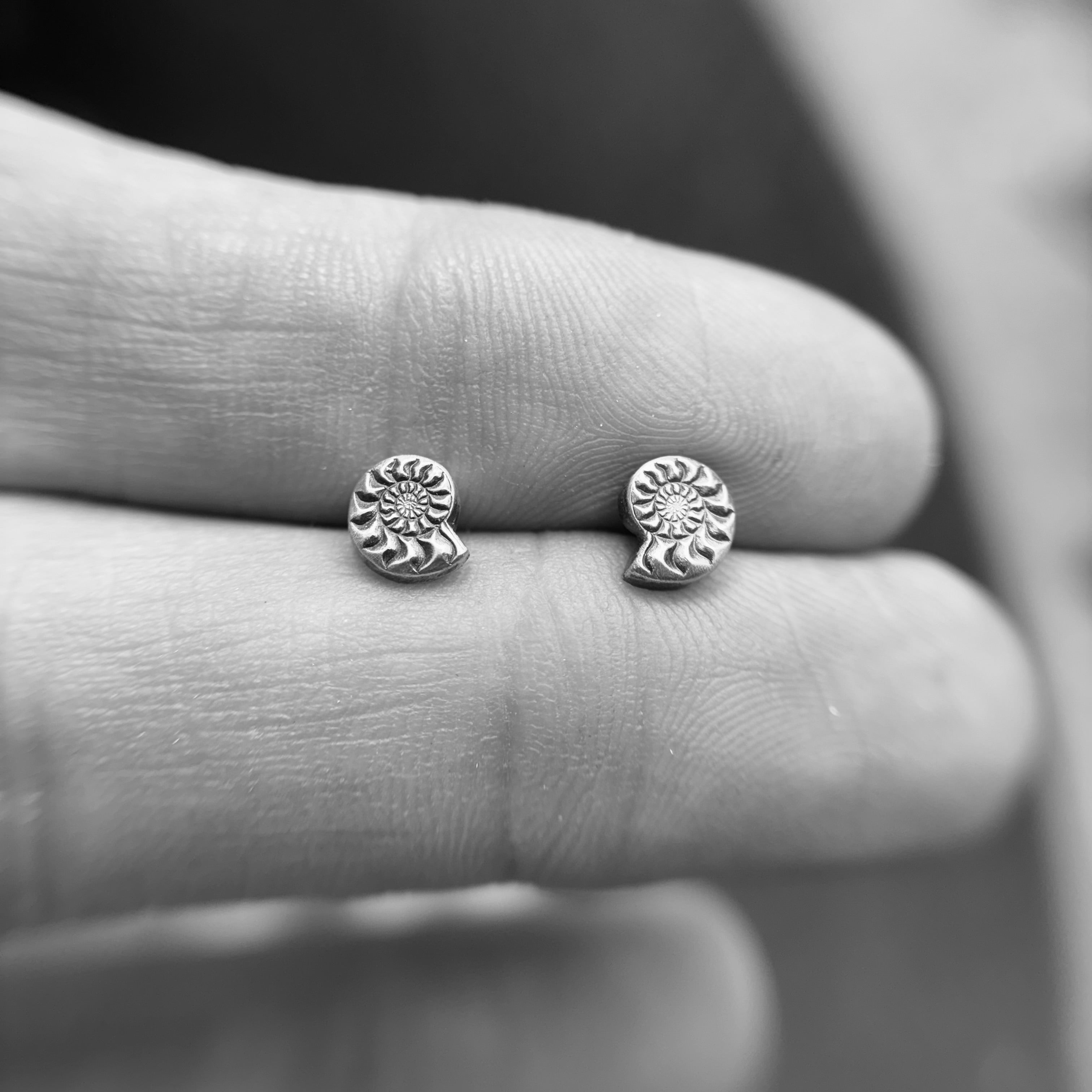 Ammonite Fossil Studs Katie Dirnbauer Designs ammonite-fossil-studs-katie-dirnbauer-designs